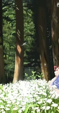 日本动漫师笔下的动漫女生们！