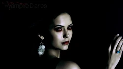 吸血鬼日记~妮娜&middot;杜波夫(Nina Dobrev)高清壁纸