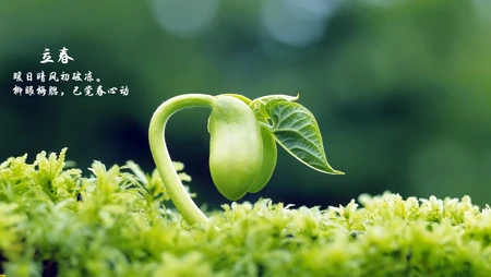 立春唯美1920x1200风景壁纸