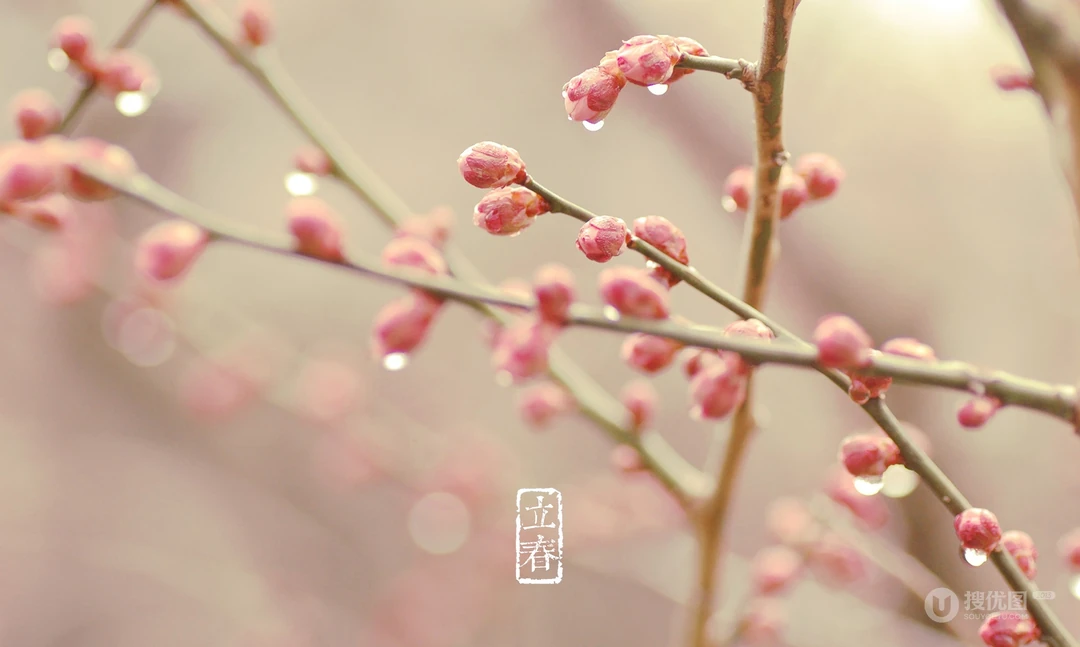 立春唯美1920x1200风景壁纸