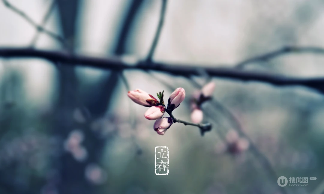 立春唯美1920x1200风景壁纸