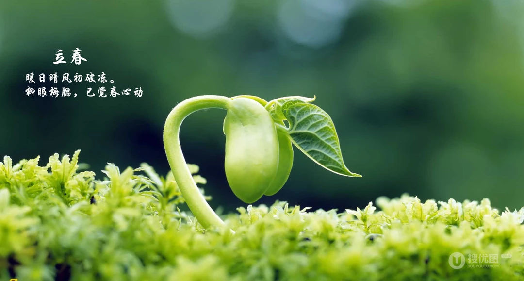立春唯美1920x1200风景壁纸