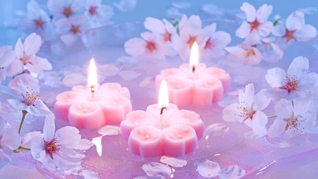 浪漫春季 开满浪漫樱花壁纸