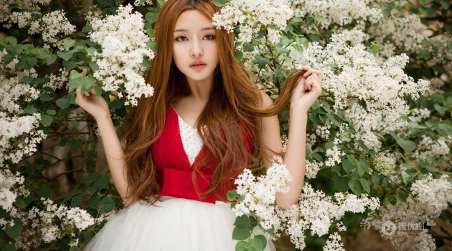 樱花树下，听说爱情回来过