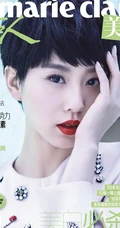 刘诗诗图片，红粉俏佳人刘诗诗唯美写真
