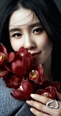 刘诗诗图片，红粉俏佳人刘诗诗唯美写真