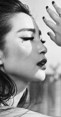 李冰冰黑白写真，机甲酷炫气质美图