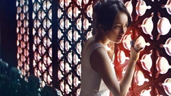百变美女杨幂百变壁纸