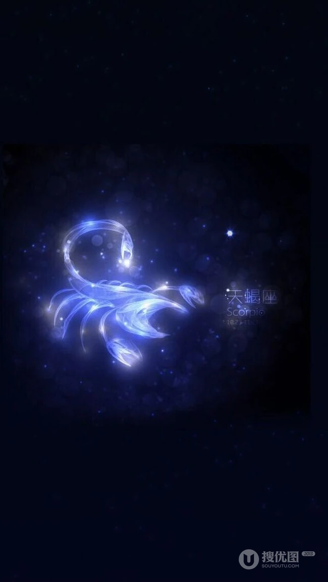 十二星座意境梦幻图片 如流星般飞过