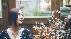 高清壁纸-花店里的女孩