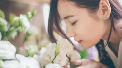 高清壁纸-花店里的女孩