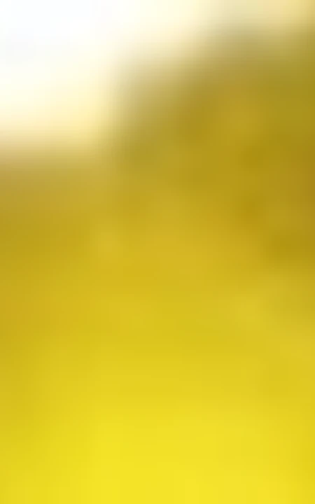 明星撞脸对对碰-撞的鼻青脸肿的《梦之声》歌手们