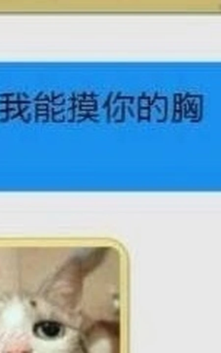 趣味调查：&ldquo;我可以摸你的胸吗？&rdquo;