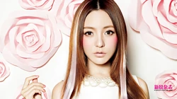 新锐美眉杂志高清美女电脑壁纸