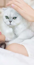 闺房中的清纯少女和猫 唯美高清图片17p