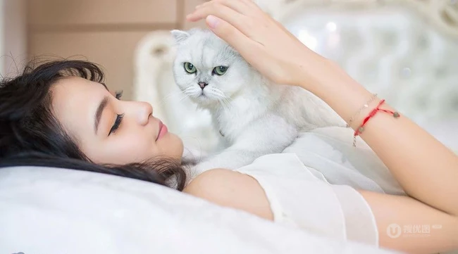闺房中的清纯少女和猫 唯美高清图片17p