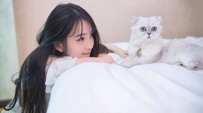 闺房中的清纯少女和猫 唯美高清图片17p