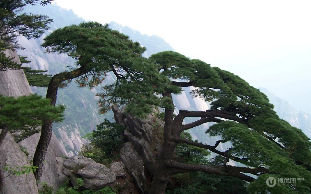 唯美黄山旅游区高清壁纸下载