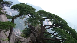 唯美黄山旅游区高清壁纸下载