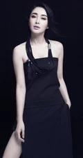 秦岚时尚杂志写真 展淑女时尚风采