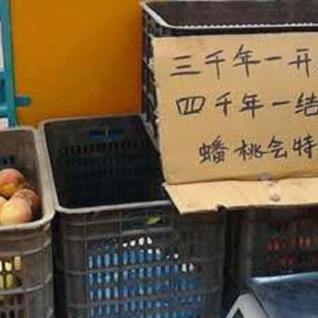 人间也能吃上蟠桃