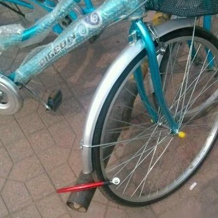 智商！！