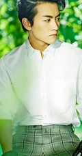 陈晓绿色小清新写真集