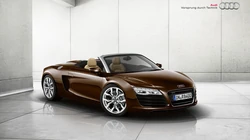 奥迪R8酷帅壁纸（AUDI R8 SPYDER）