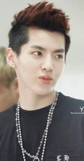 吴亦凡帅气写真-EXO成员吴亦凡（Kris）写真大全
