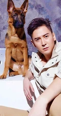 韩栋图片-韩栋先森的名犬实拍写真