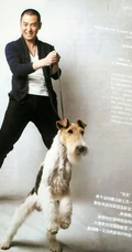 韩栋图片-韩栋先森的名犬实拍写真