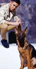 韩栋图片-韩栋先森的名犬实拍写真