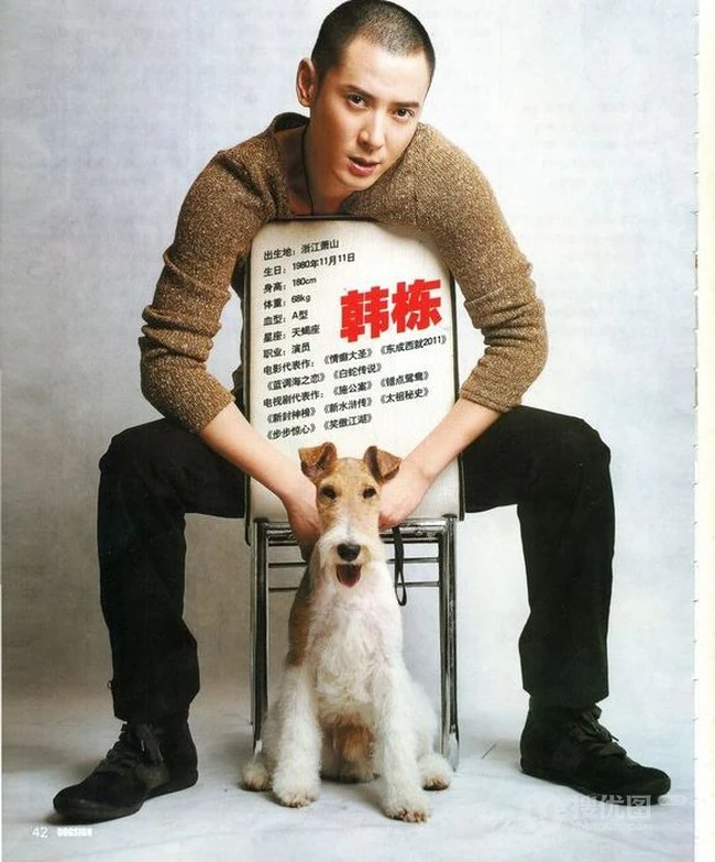 韩栋图片-韩栋先森的名犬实拍写真
