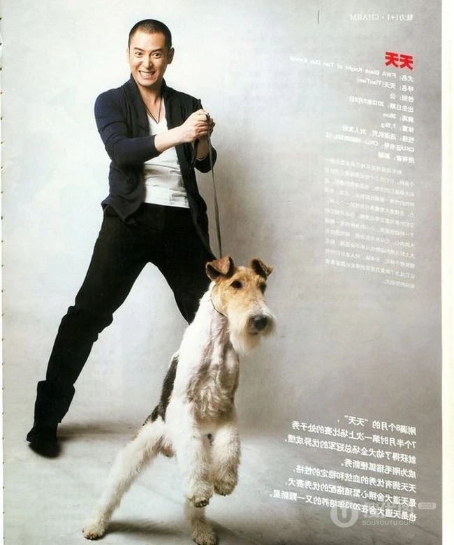 韩栋图片-韩栋先森的名犬实拍写真