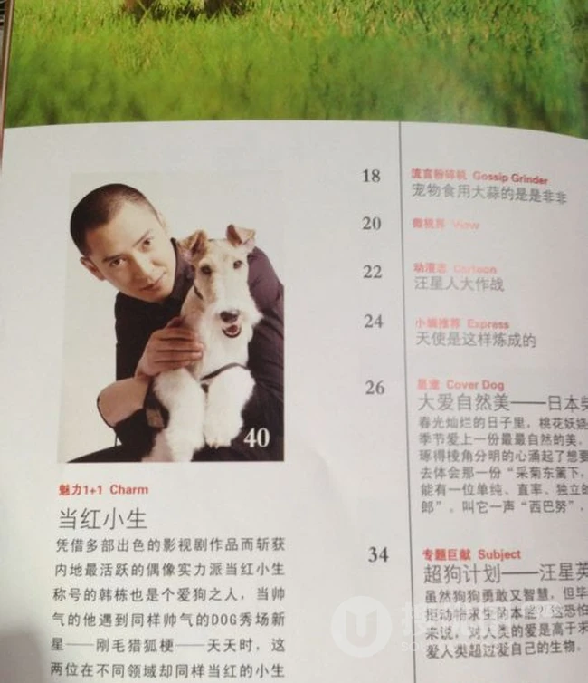韩栋图片-韩栋先森的名犬实拍写真