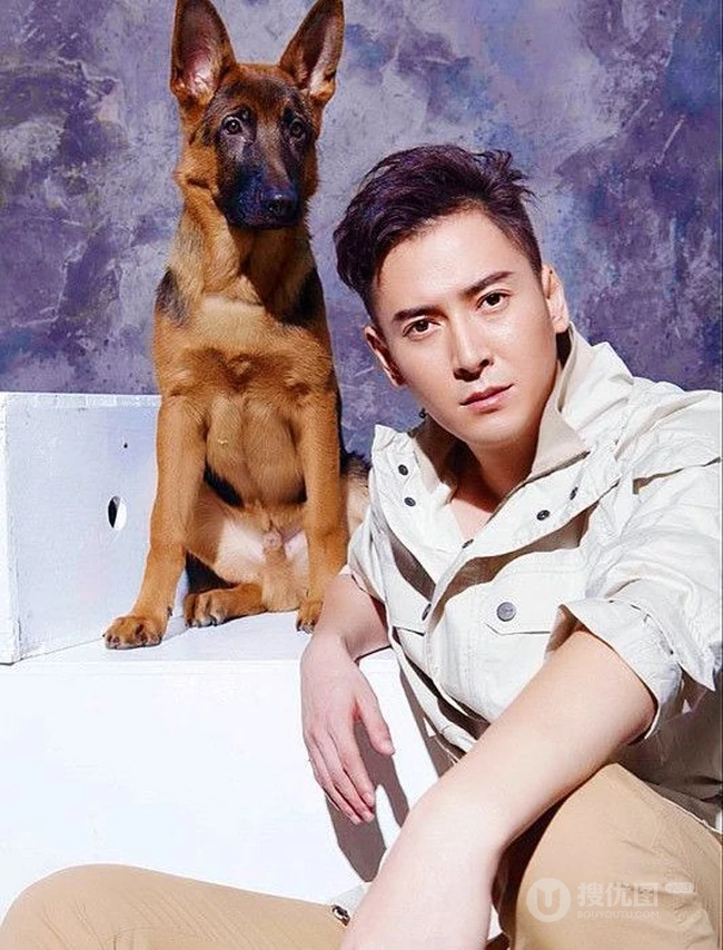 韩栋图片-韩栋先森的名犬实拍写真