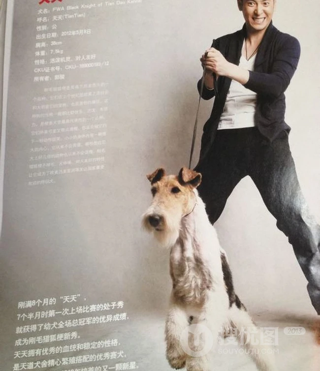 韩栋图片-韩栋先森的名犬实拍写真