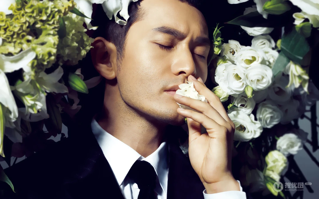 黄晓明和白色玫瑰的电脑壁纸