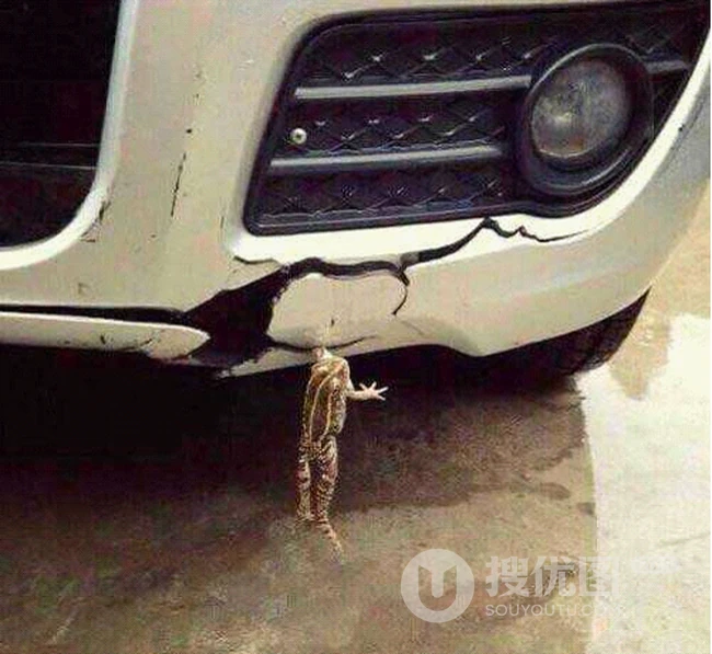 哦 NO 嗨奥普