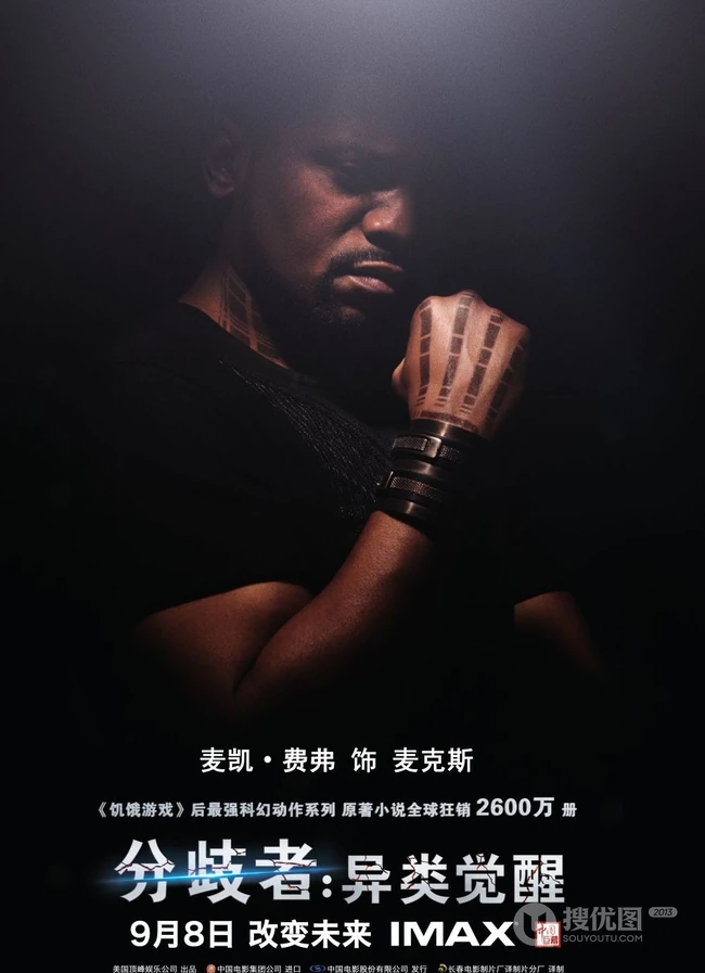 高清《分歧者之异类觉醒》电影海报图片