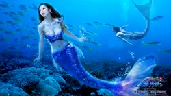 游戏女神《完美国际》女神壁纸