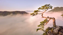 大自然系列优美景色壁纸图片