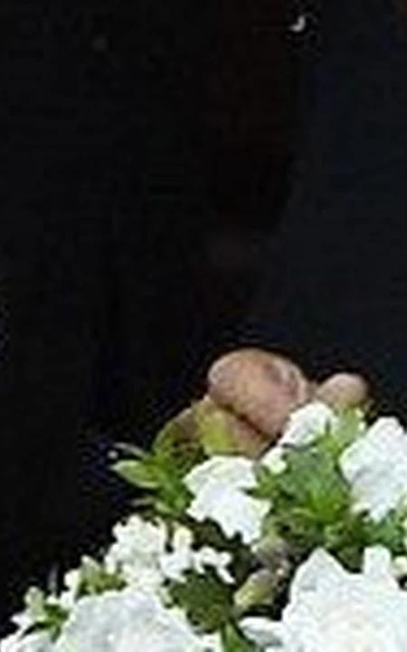 布鲁尼前任卡娜丽斯在意大利成婚 卡娜丽斯资料