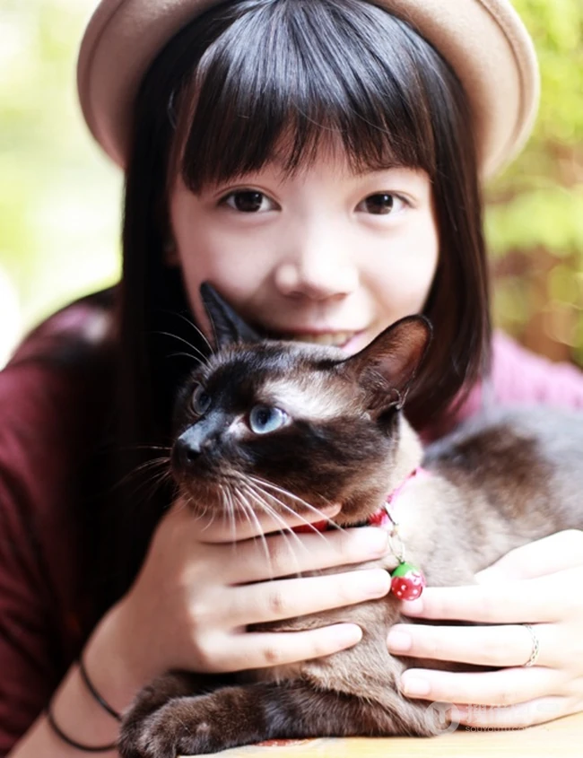 可爱朴实女孩淼与猫快乐时光-每一个晴天