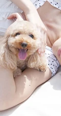 大爱！气质女生&ldquo;矢島舞美&rdquo;室内写真
