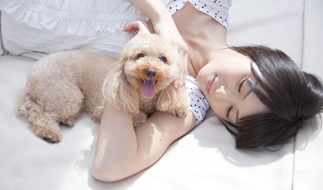 大爱！气质女生&ldquo;矢島舞美&rdquo;室内写真