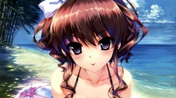 美少女游戏《寻找遗失的未来》高清游戏壁纸