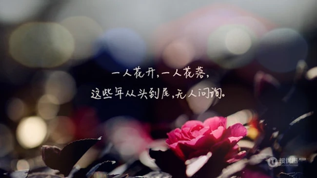 朦胧景色中的唯美文字图片-关于爱情的语录