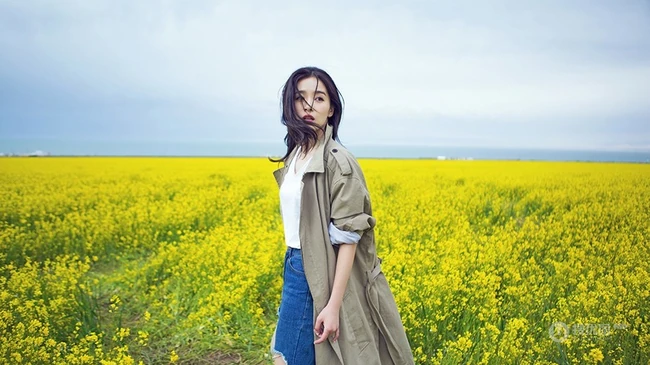 女生阚清子清新高原写真 身骑牦牛感受大自然魅力
