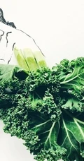 来源于生活的创意图片 美食和手绘的完美结合